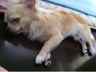 image-20110715102811.png