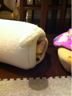 image-20110715102929.png