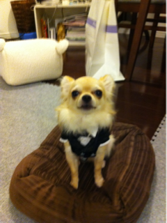 image-20110724003118.png
