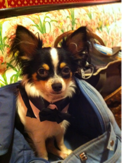 image-20110724003243.png
