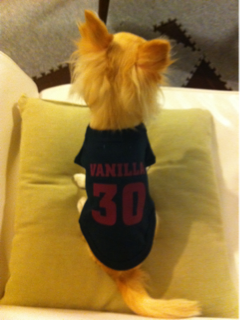 image-20110724003641.png