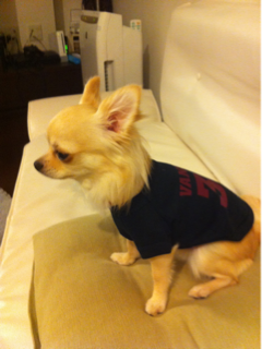 image-20110724003846.png