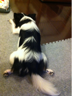 image-20110817160304.png