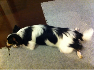 image-20110817160323.png