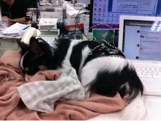 image-20110817160444.png