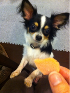 image-20110817230751.png