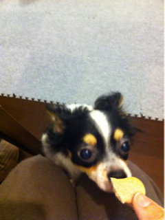 image-20110817230818.png