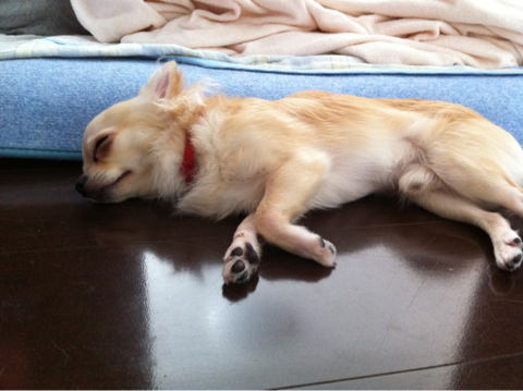 image-20110819081627.png