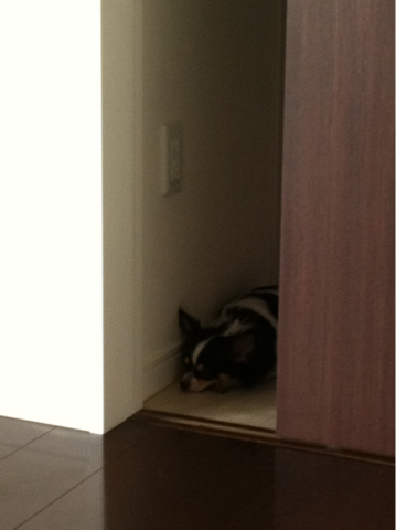 image-20110819081806.png