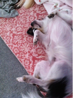 image-20110904063529.png