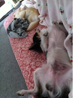 image-20110904063555.png