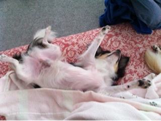 image-20110904063621.png