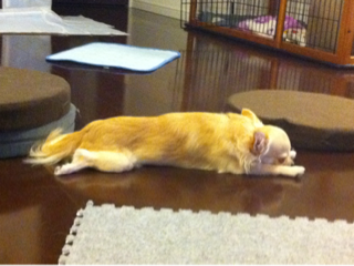 image-20110910111708.png