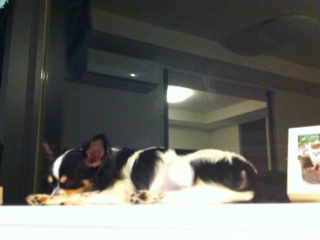 image-20110910111730.png
