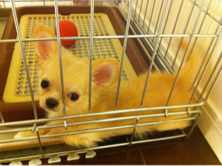image-20110910111754.png