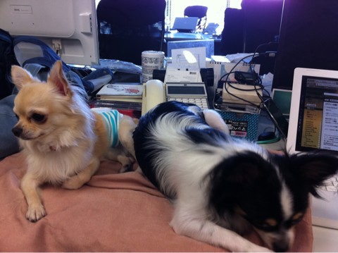 image-20111004103550.png