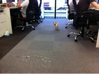 image-20111017190408.png