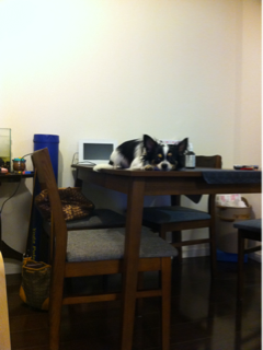image-20111017200130.png