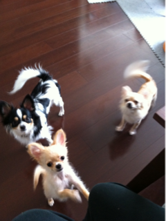image-20111019143506.png