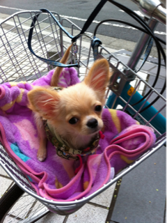 image-20111025183659.png