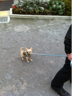 image-20111025184636.png