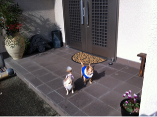 image-20120102125513.png