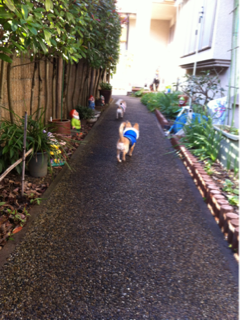 image-20120102125638.png