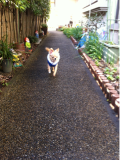 image-20120102125746.png