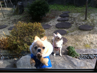 image-20120102125956.png