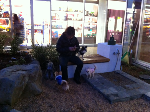 image-20120220023735.png