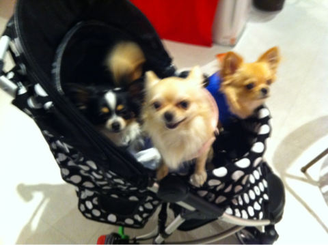 iphone/image-20120220023843.png
