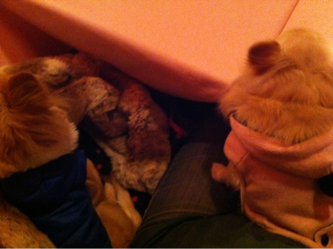 image-20120220023922.png