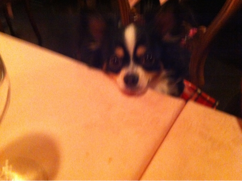 image-20120220023948.png