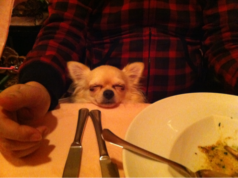 image-20120220024014.png
