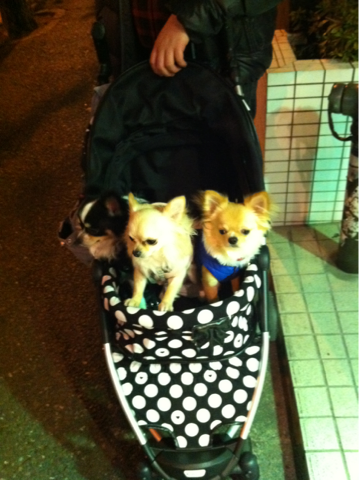 iphone/image-20120220024230.png