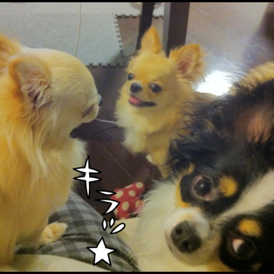 image-20120606073431.png
