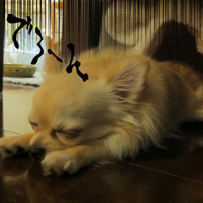 image-20120606073452.png