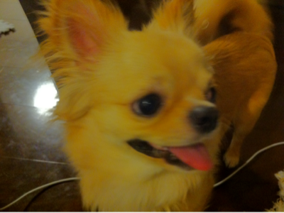 image-20120606073514.png