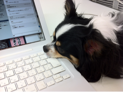 image-20120606073555.png