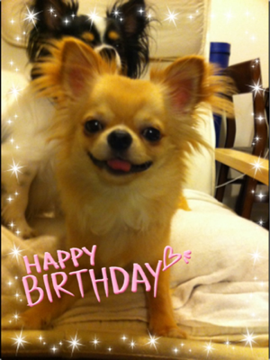 image-20120629235532.png