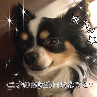 image-20121221050326.png