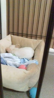 20100321195315.jpg