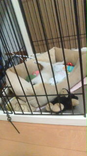 20100323223857.jpg